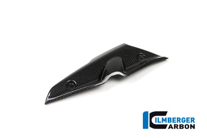 Ilmberger Carbon Injector Cover for the BMW R Nine T 2014-2016