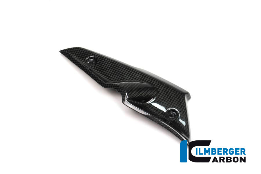 Ilmberger Carbon Injector Cover for the BMW R Nine T 2014-2016
