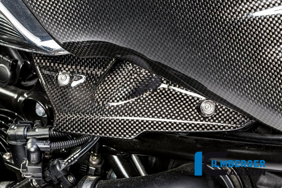 Ilmberger Carbon Injector Cover for the BMW R Nine T 2014-2016