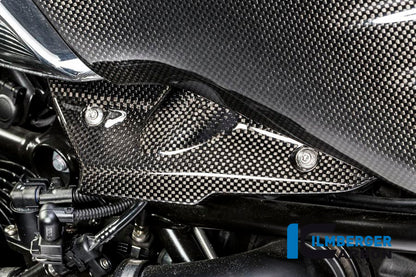 Ilmberger Carbon Injector Cover for the BMW R Nine T 2014-2016