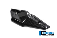 Ilmberger Carbon Injector Cover for the BMW R Nine T '14-17, R Nine T Racer 2017, R Nine T Scrambler/Urban GS 2016