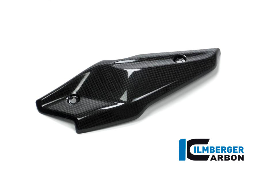 Ilmberger Carbon Injector Cover for the BMW R Nine T '14-17, R Nine T Racer 2017, R Nine T Scrambler/Urban GS 2016