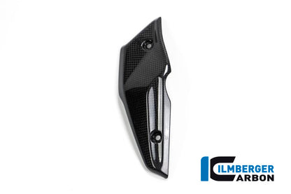 Ilmberger Carbon Injector Cover for the BMW R Nine T '14-17, R Nine T Racer 2017, R Nine T Scrambler/Urban GS 2016
