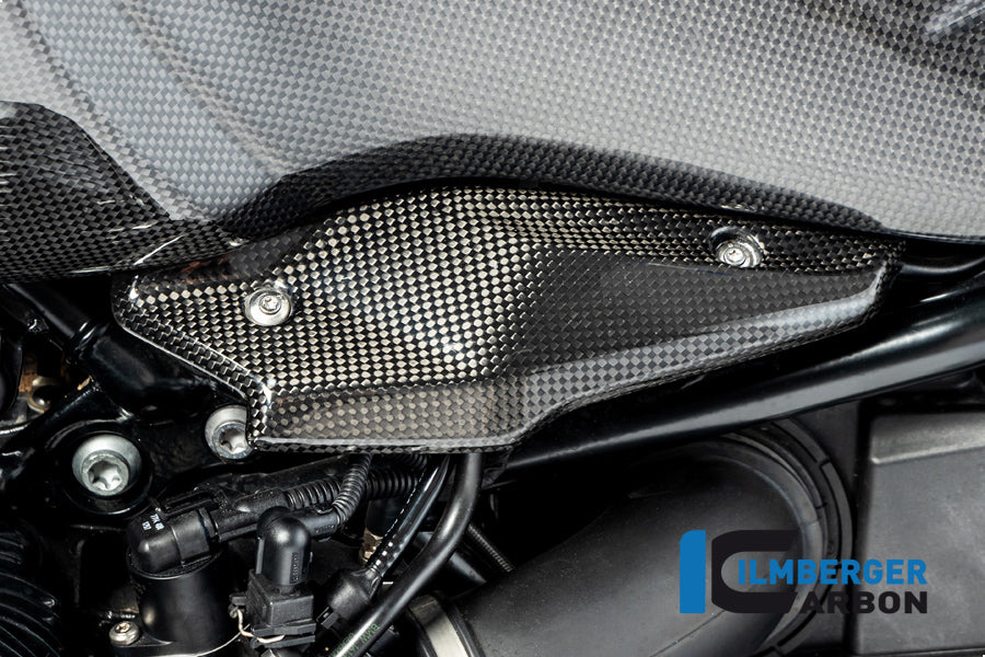 Ilmberger Carbon Injector Cover for the BMW R Nine T '14-17, R Nine T Racer 2017, R Nine T Scrambler/Urban GS 2016
