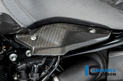 Ilmberger Carbon Injector Cover for the BMW R Nine T '14-17, R Nine T Racer 2017, R Nine T Scrambler/Urban GS 2016