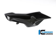 Ilmberger Carbon Airtube Cover (Left Side) for the BMW F 800 R 2015