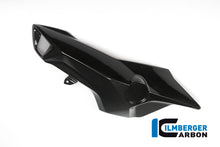 Ilmberger Carbon Airtube Cover (Left Side) for the BMW F 800 R 2015