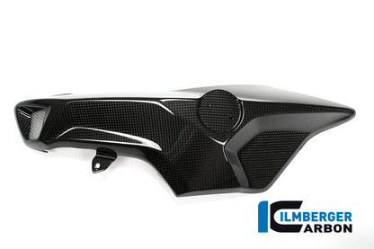 Ilmberger Carbon Airtube Cover (Left Side) for the BMW F 800 R 2015