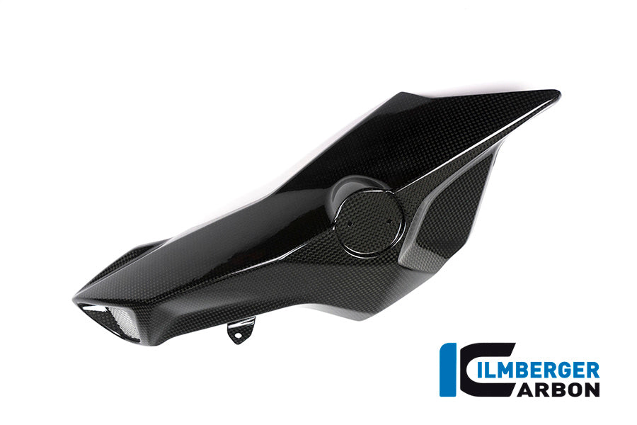 Ilmberger Carbon Airtube Cover (Left Side) for the BMW F 800 R 2015