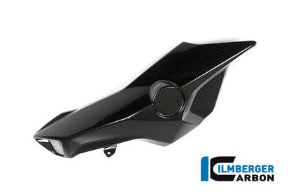 Ilmberger Carbon Airtube Cover (Left Side) for the BMW F 800 R 2015