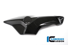 Ilmberger Carbon Airtube Cover (Right Side) for the BMW F 800 R 2015
