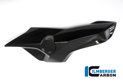 Ilmberger Carbon Airtube Cover (Right Side) for the BMW F 800 R 2015