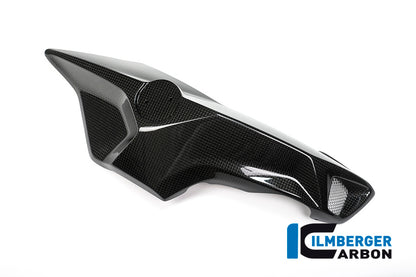 Ilmberger Carbon Airtube Cover (Right Side) for the BMW F 800 R 2015