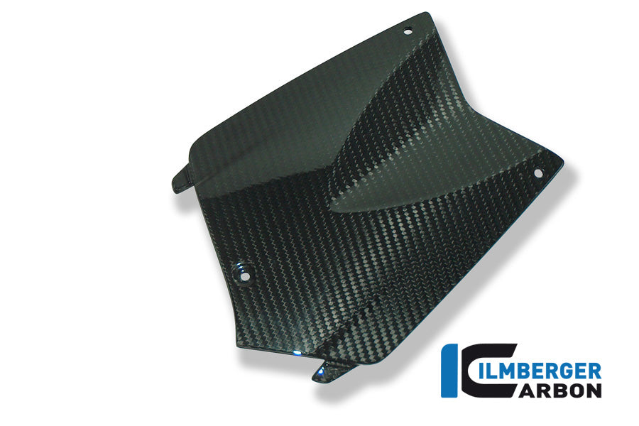 Ilmberger Carbon Battery Cover, Carbon for the BMW K 1200 R '05-08, K 1300 R '08-24