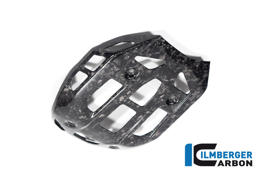 Ilmberger Carbon Sumpguard, BDC for the BMW R 1300 GS 2023 / GS Adventure 2024