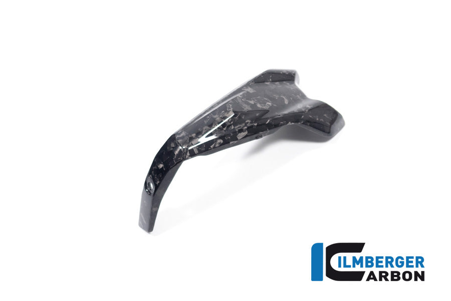 Ilmberger Carbon Spark Plug Cover, Left BDC for the BMW R 1300 GS 2023 / GS Adventure 2024