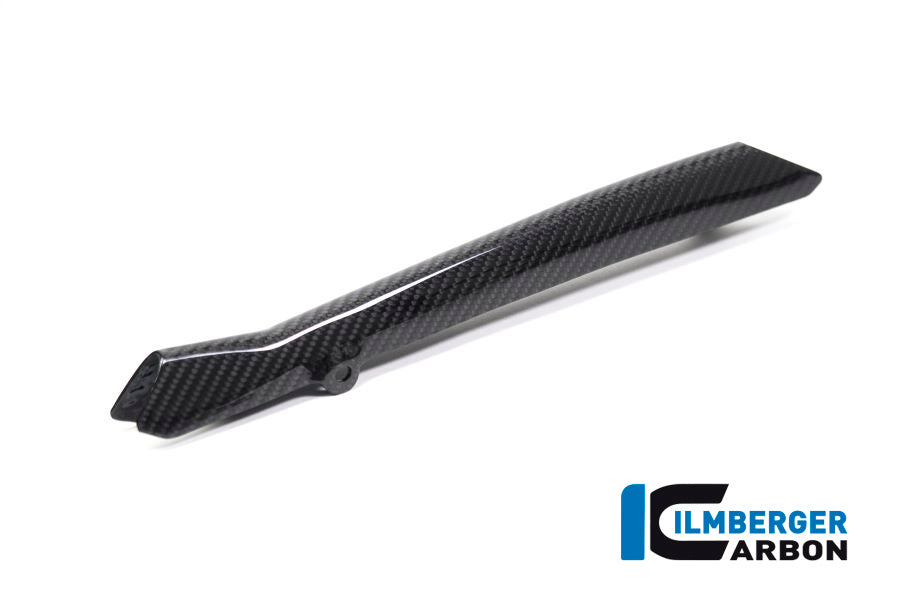 Ilmberger Carbon Brake-pipe Cover for the BMW R 1250 R/RS/GS/GS Adventure 2019