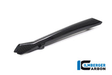 Ilmberger Carbon Brake-pipe Cover for the BMW R 1250 R/RS/GS/GS Adventure 2019