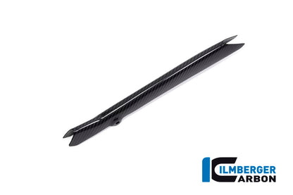 Ilmberger Carbon Brake-pipe Cover for the BMW R 1250 R/RS/GS/GS Adventure 2019