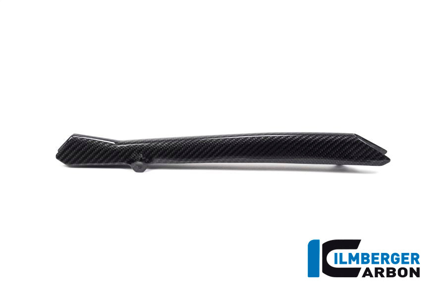 Ilmberger Carbon Brake-pipe Cover for the BMW R 1250 R/RS/GS/GS Adventure 2019