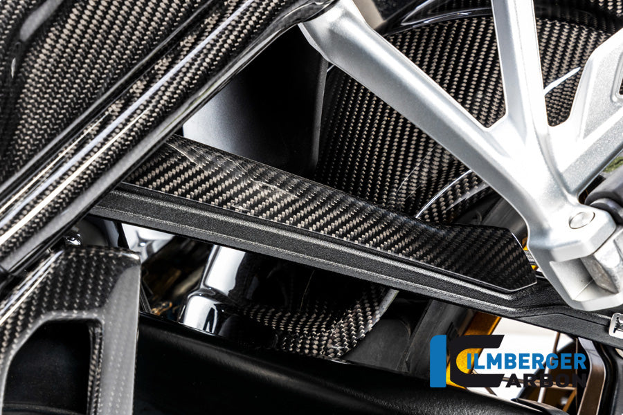 Ilmberger Carbon Brake-pipe Cover for the BMW R 1250 R/RS/GS/GS Adventure 2019