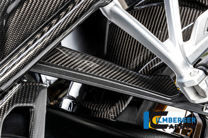 Ilmberger Carbon Brake-pipe Cover for the BMW R 1250 R/RS/GS/GS Adventure 2019