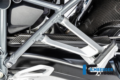 Ilmberger Carbon Brake-pipe Cover for the BMW R 1250 R/RS/GS/GS Adventure 2019
