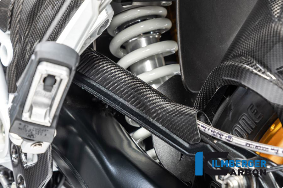 Ilmberger Carbon Brake-pipe Cover for the BMW R 1250 R/RS/GS/GS Adventure 2019