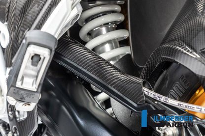 Ilmberger Carbon Brake-pipe Cover for the BMW R 1250 R/RS/GS/GS Adventure 2019