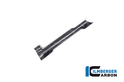 Ilmberger Carbon Brake-pipe Cover, BDC for the BMW R 1300 GS 2023 / GS Adventure 2024