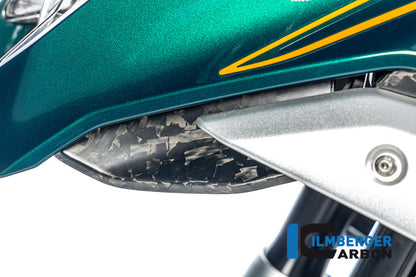Ilmberger Carbon Airvent Cover, Left Side BDC for the BMW R 1300 GS 2023