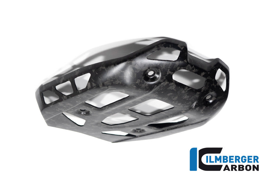 Ilmberger Carbon Sumpguard, BDC for the BMW R 1300 GS 2023 / GS Adventure 2024