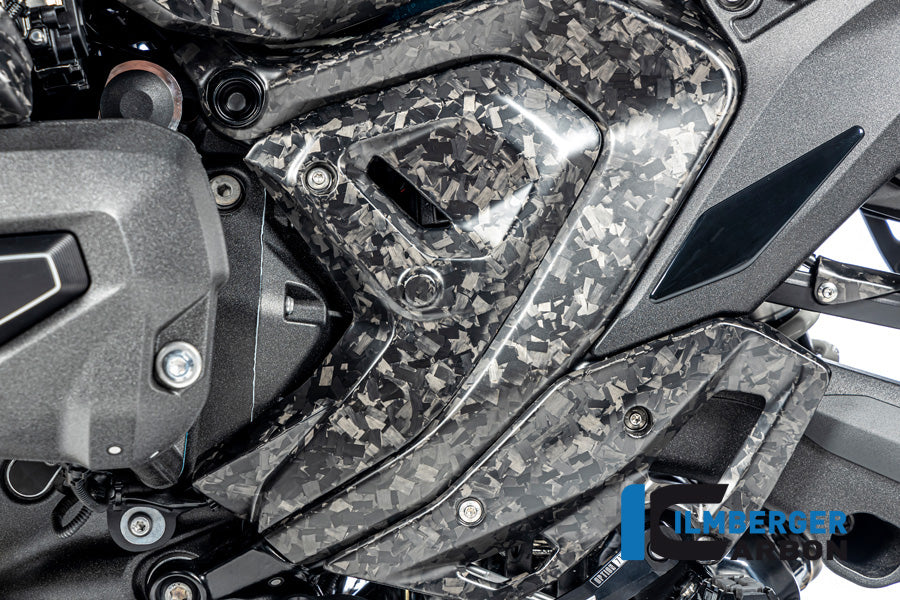Ilmberger Carbon Triangular Frame Cover, Left BDC for the BMW R 1300 GS 2023