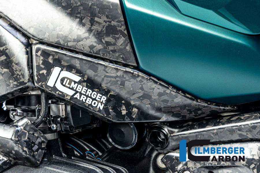 Ilmberger Carbon Lower Tank Cover, Left BDC for the BMW R 1300 GS 2023