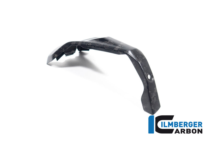 Ilmberger Carbon Spark Plug Cover, Left BDC for the BMW R 1300 GS 2023 / GS Adventure 2024