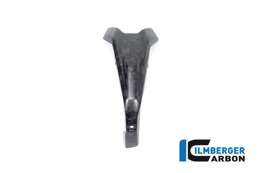 Ilmberger Carbon Spark Plug Cover, Left BDC for the BMW R 1300 GS 2023 / GS Adventure 2024