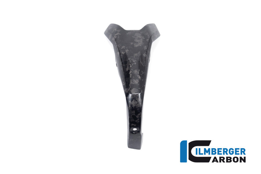 Ilmberger Carbon Spark Plug Cover, Right BDC for the BMW R 1300 GS 2023 / GS Adventure 2024