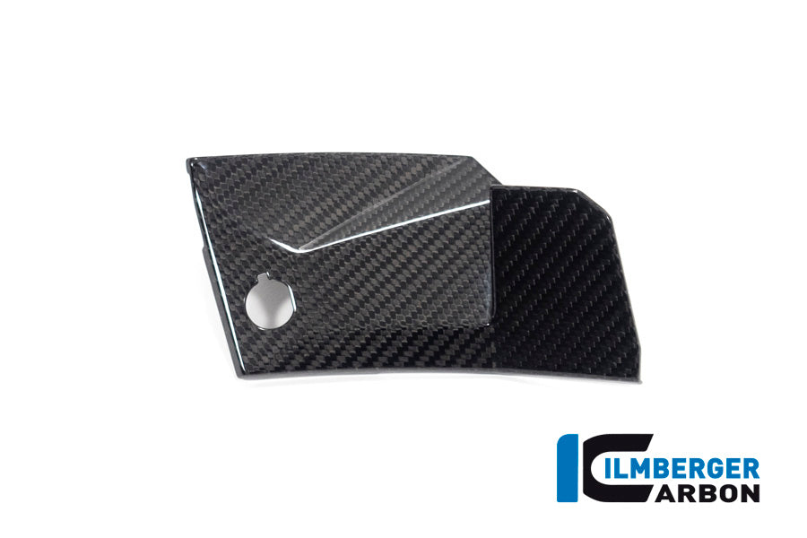 Ilmberger Carbon Cover near the instruments, Left Side for the BMW S 1000 XR '20-24 / M 1000 XR '24