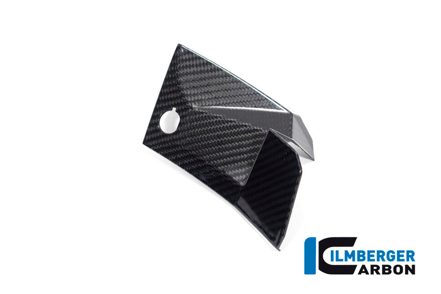 Ilmberger Carbon Cover near the instruments, Left Side for the BMW S 1000 XR '20-24 / M 1000 XR '24