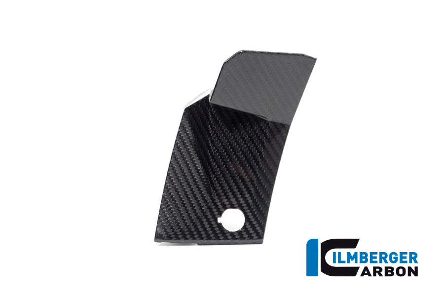 Ilmberger Carbon Cover near the instruments, Left Side for the BMW S 1000 XR '20-24 / M 1000 XR '24