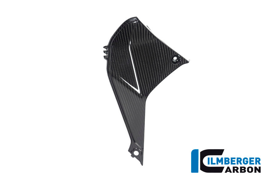 Ilmberger Carbon Cover near the Instuments, Left Side for the BMW R 1250 R 2019