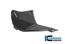 Ilmberger Carbon Cover near the Instuments, Left Side for the BMW R 1250 R 2019