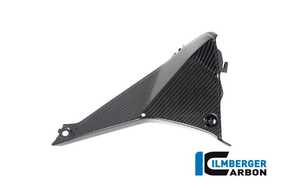 Ilmberger Carbon Cover near the Instuments, Left Side for the BMW R 1250 R 2019