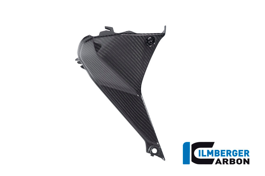 Ilmberger Carbon Cover near the Instuments, Left Side for the BMW R 1250 R 2019