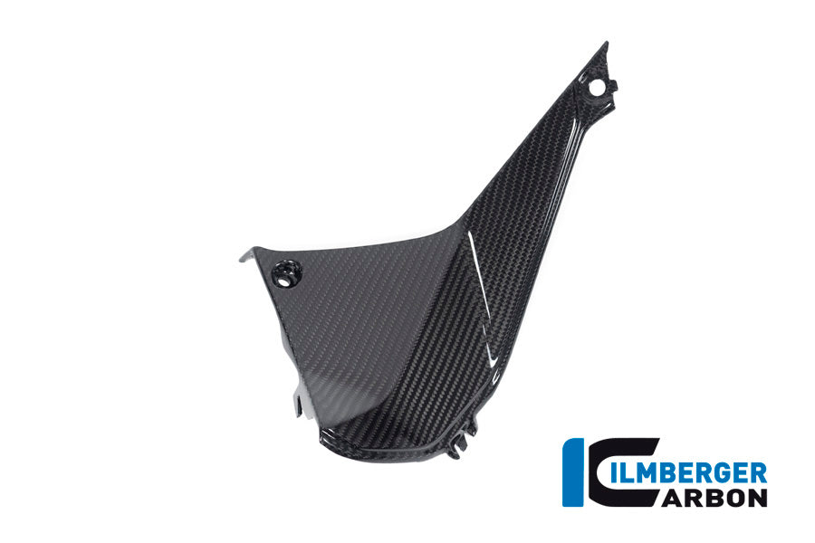 Ilmberger Carbon Cover near the Instuments, Left Side for the BMW R 1250 R 2019