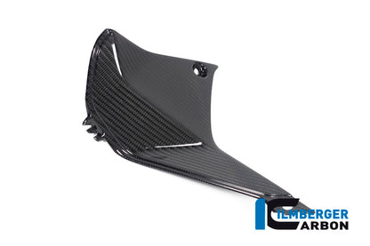 Ilmberger Carbon Cover near the Instuments, Left Side for the BMW R 1250 R 2019