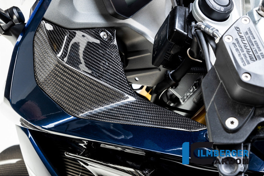Ilmberger Carbon Cover near the Instuments, Left Side for the BMW R 1250 R 2019