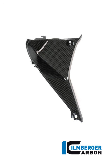 Ilmberger Carbon Cover near the Instruments, Left for the BMW R 1200 RS 2015