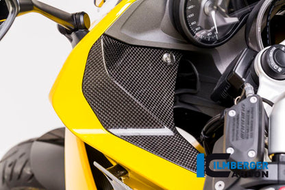 Ilmberger Carbon Cover near the Instruments, Left for the BMW R 1200 RS 2015