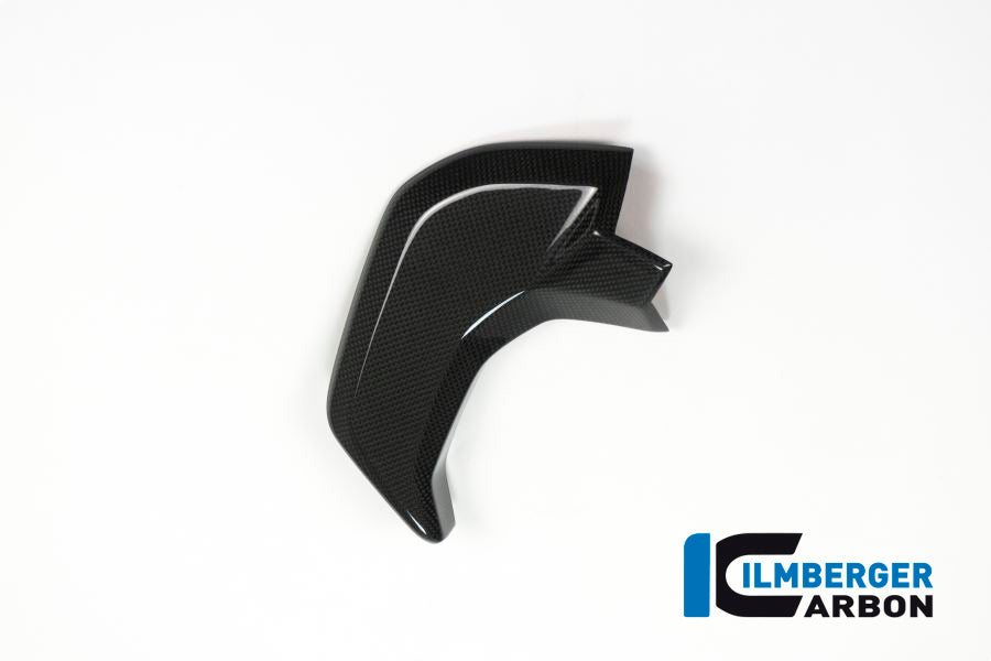Ilmberger Carbon Cover Near The Instrument, Left Side for the Ducati Multistrada 1200 DVT '15 / Enduro '16